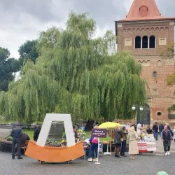 Market Square (Rynok Square) - Drohobych