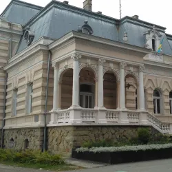 Museum of Drohobych Region - Drohobych