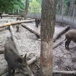 Fishing Spots along the Irpin River - Gatne (Hatne)