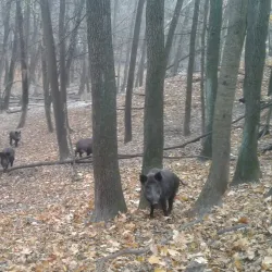 Fishing Spots along the Irpin River - Gatne (Hatne)