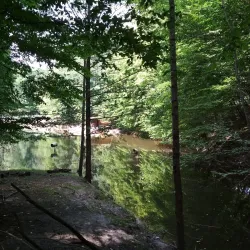 Fishing Spots along the Irpin River - Gatne (Hatne)