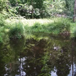 Fishing Spots along the Irpin River - Gatne (Hatne)