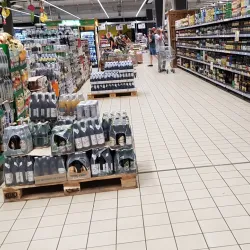 Kyiv Forests - Gatne (Hatne)