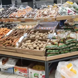 Kyiv Forests - Gatne (Hatne)