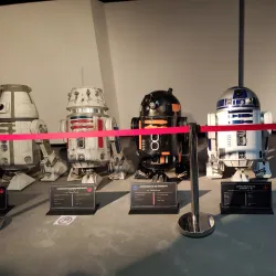 Local Festivals and Cultural Events - Gatne (Hatne)