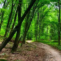 Nature Trails and Cycling Routes - Gatne (Hatne)