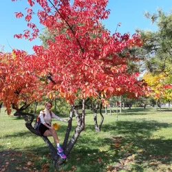 Children's Beach - Horishni Plavni