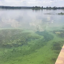Children's Beach - Horishni Plavni