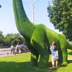 City Council Building - Horishni Plavni