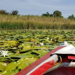 City Council Building - Horishni Plavni