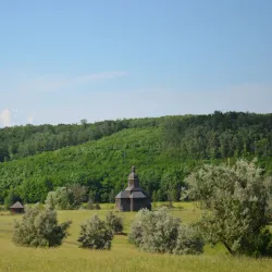 Cossack Grave - Horishni Plavni