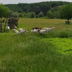 Cossack Grave - Horishni Plavni