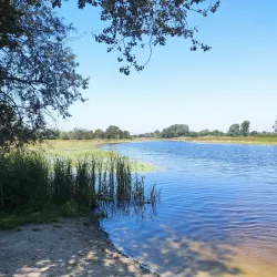 Forest Lakes Reserve - Horishni Plavni