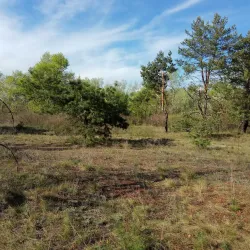 Forest Lakes Reserve - Horishni Plavni