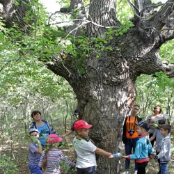 Forest Lakes Reserve - Horishni Plavni