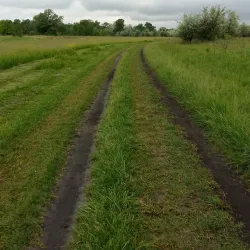Forest Lakes Reserve - Horishni Plavni