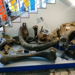 Local History Museum - Horishni Plavni