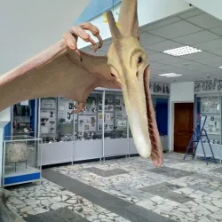 Local History Museum - Horishni Plavni