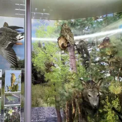 Local History Museum - Horishni Plavni