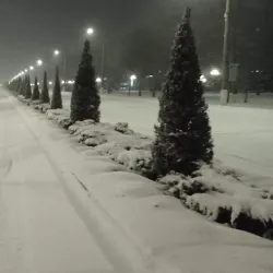 Shevchenko Square - Horishni Plavni