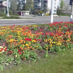 Shevchenko Square - Horishni Plavni