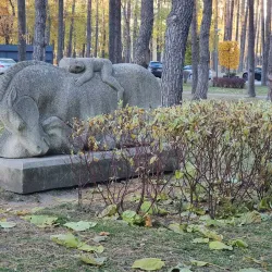 Central Park of Culture and Recreation - Irpin