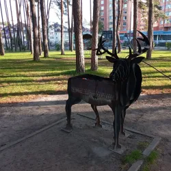 Central Park of Culture and Recreation - Irpin