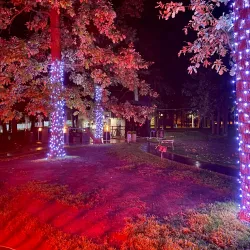 Irpin River and Riverside Park - Irpin