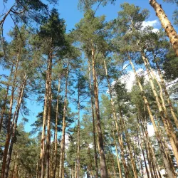 Irpin Sports Complex - Irpin