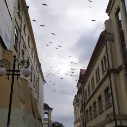 Market Square (Ploshcha Rynok) - Ivano-Frankivsk