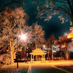 Shevchenko Park - Ivano-Frankivsk