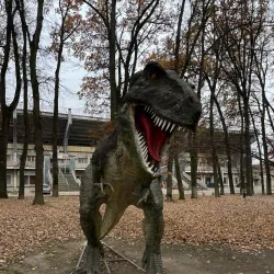 Shevchenko Park - Ivano-Frankivsk