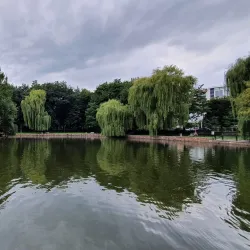 Shevchenko Park - Ivano-Frankivsk