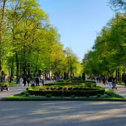 Shevchenko Park - Ivano-Frankivsk