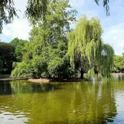 Shevchenko Park - Ivano-Frankivsk