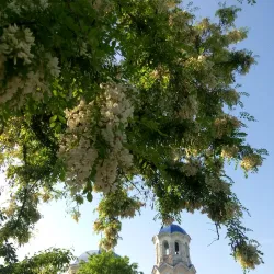 Cathedral of the Nativity of the Blessed Virgin Mary - Izmail