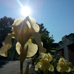 Cathedral of the Nativity of the Blessed Virgin Mary - Izmail