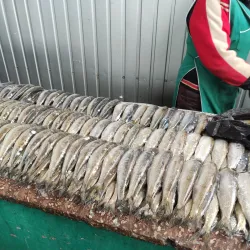 Central Market - Izmail