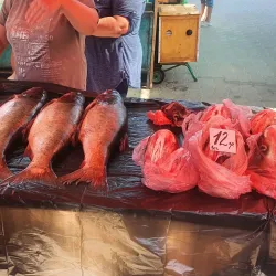 Central Market - Izmail