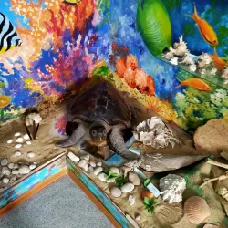 Izmail Local History Museum - Izmail