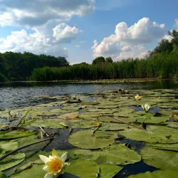 Donets River Embankment - Izyum