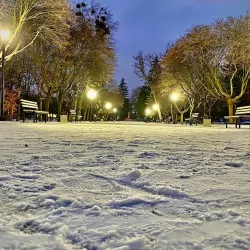 Izyum Central Park - Izyum