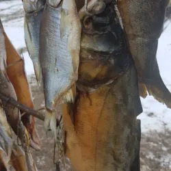 Local Market - Izyum