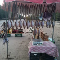 Local Market - Izyum