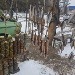 Local Market - Izyum