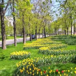 Derzhprom Building - Kharkiv