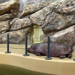 Kharkiv Zoo - Kharkiv