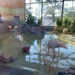 Kharkiv Zoo - Kharkiv