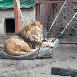 Kharkiv Zoo - Kharkiv