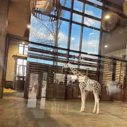 Kharkiv Zoo - Kharkiv